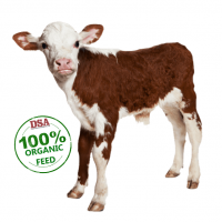 ORGANIC CALF FEED