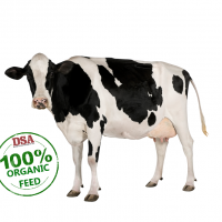 ORGANIC DAIRY FEED